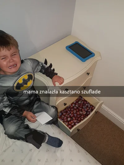 Prokurator_Bluewaffles - #humorobrazkowy
#heheszki #kasztany