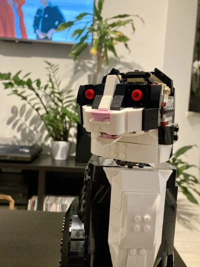 MyOwnWorstEnemy - Dobrze to buduje? 
#lego