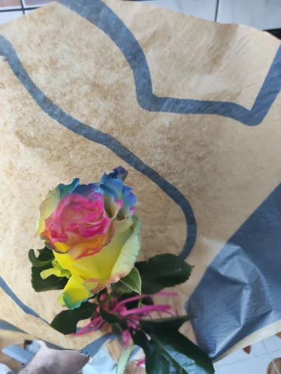 AngiAngel - @AngiAngel