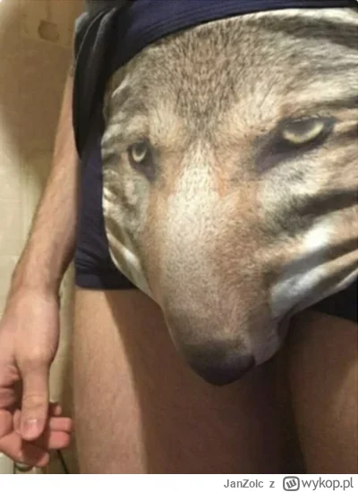 JanZolc - @gregory-coolick: