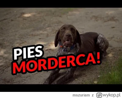 mszuriam - @ziumbalapl: "Operator":
https://www.youtube.com/watch?v=lHzqJXfQsE8