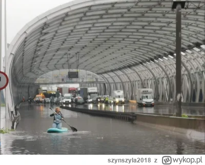 szynszyla2018 - Mirki i Mirabelki życzę sobie i Wam takiej radości z życia jaką ma ta...