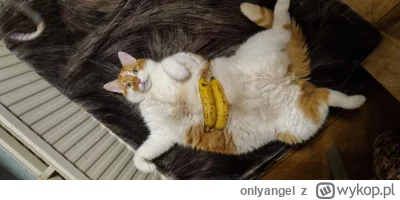 onlyangel - @simpiara: