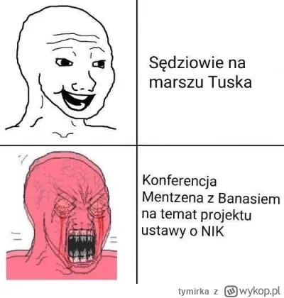 tymirka - Jedyny wpływ jaki ma Konfederacja na NIK to poparcie 1 (słownie: jednej) us...