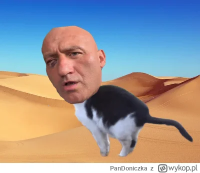 PanDoniczka - Srający kot na pustyni po #!$%@? od Cesarza Murana
#famemma #cloutmma