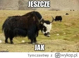 Tymczas0wy - @massh: