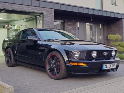 bidzej - kupiłem se konia lol

#motoryzacja #pokazauto #mustang