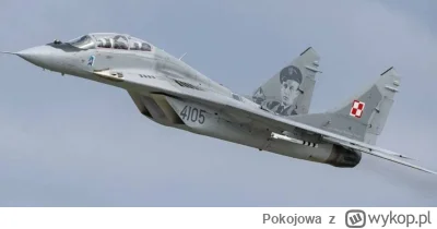 Pokojowa - Polska może rozważyć dostarczenie Ukrainie MiG-ów, ale pod pewnymi warunka...