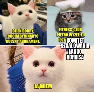 kinson - #f1 #komitetszkalowanialandonorrisa