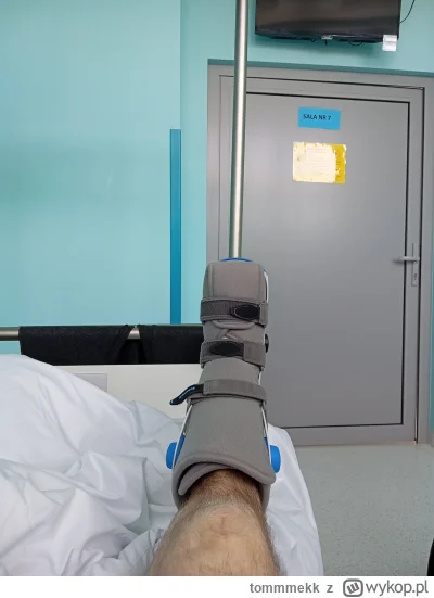 tommmekk - @tommmekk