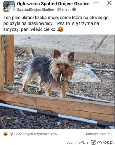 JoannitaPL - @pewnie-kaczka 
By w pełni mem był zrozumiały wcześniej powinieneś dodać...