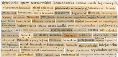 PoduszkaDoSiedzenia69 - @josedra52: Językowiec here. Kobiece odpowiedniki zawodów nie...