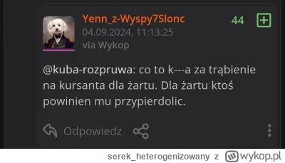 serek_heterogenizowany - Mam włączone treści nieodpowiednie i przekleństwa a mimo to ...