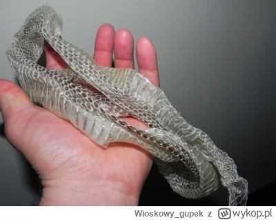Wioskowy_gupek - @Roszp: czekam na kable z oplotem z wylinki węża xD