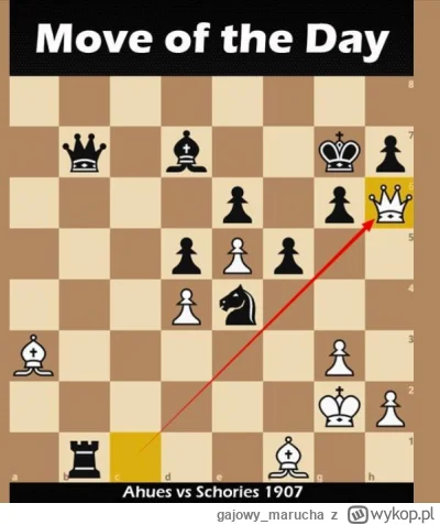 gajowy_marucha - ( ͡° ͜ʖ ͡°)
#szachy