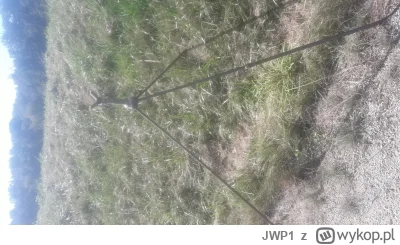 JWP1 - Mysliwy chyba zbyt nawalony był bo sprzęt został... #wrocław #psary