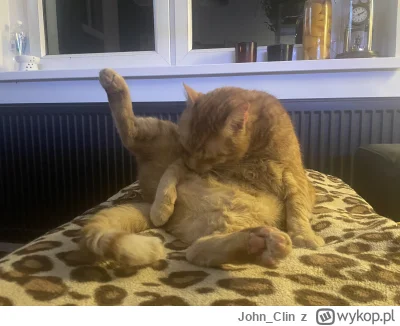 John_Clin - Im jestem starszy tym więcej uczucia do niego żywię. 
#pokazkota #koty