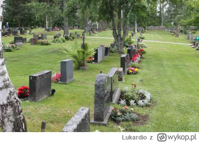 Lukardio - typowy #cmentarz w #finlandia
 

a w polsce im większy groboweic  tym leps...