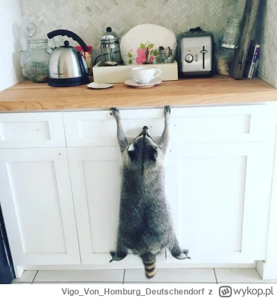 VigoVonHomburgDeutschendorf - - Skaza, bracie!_
#szopeknadzis