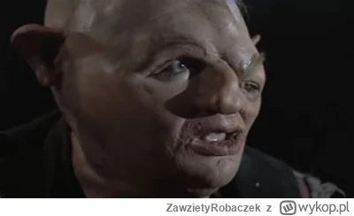 ZawzietyRobaczek - @Zwierz33: jesli nie wygladasz w taki sposób to nie wiem o co chod...