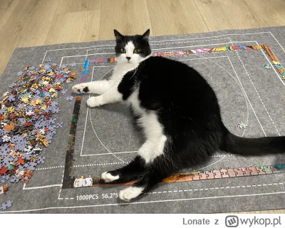 Lonate - Kiedy starasz się ułożyć puzzle z #wykopaka xD

#kot #koty #pokazkota
