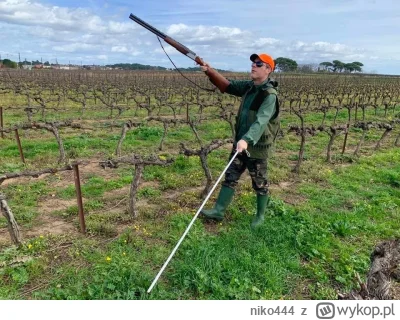 niko444 - To juz nawet przebija to