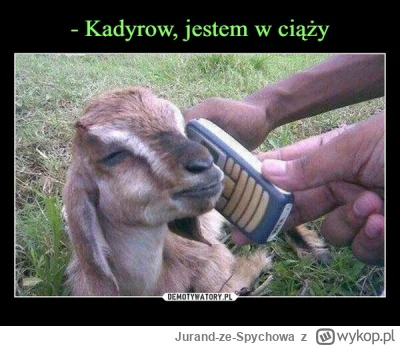 Jurand-ze-Spychowa - To ten Kadyrow co lubi kozy, czy jakiś inny?