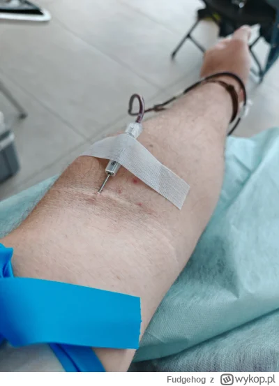 Fudgehog - 141 900 - 450 = 141 450
Data donacji - 27.05.2025
Rodzaj donacji - krew pe...