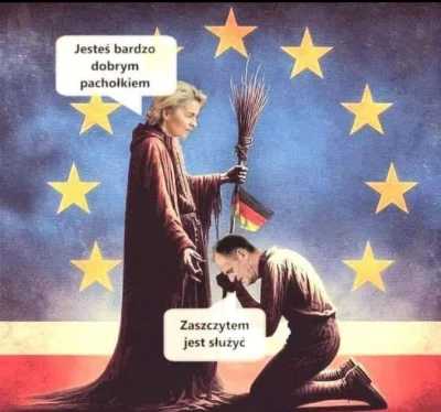 KW23 - #heheszki #humorobrazkowy #uniaeuropejska #polityka #humor