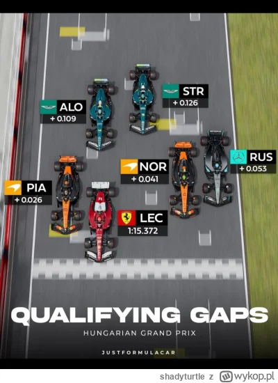 shadyturtle - #f1 aleś ekipę zmontował