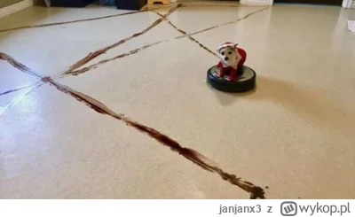 janjanx3 - https://www.cbc.ca/news/canada/newfoundland-labrador/roombas-and-pet-poop-...