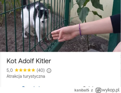 kanibalS - Równie ciekawa atrakcja rodem z Bydgoszczy ( ͡° ͜ʖ ͡°)