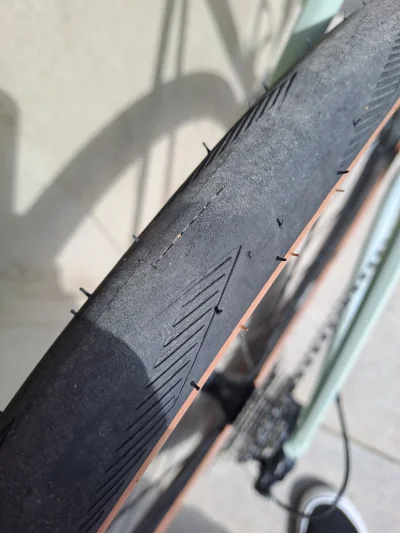 g.....s - Zobaczyłem w trasie takie rozcięcie na oponie, wracać pod pachą z rowerem c...