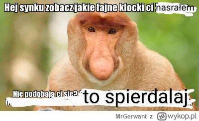 MrGerwant - #konkursnanajbardziejgownianymemznosaczem