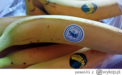 pawelJG - Kupiłem banany ze szepionkom!
#szury #pdk #heheszki