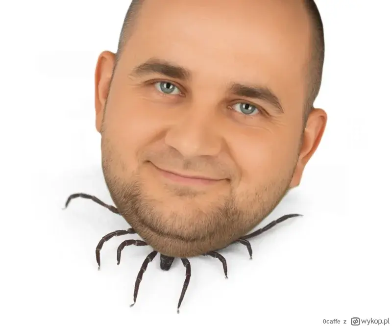 Bujak - @badreligion66: jeszcze ten