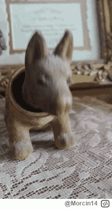 Morcin14 - Aldona to tam dla dekoracji jest ( ͡º ͜ʖ͡º)
#f1