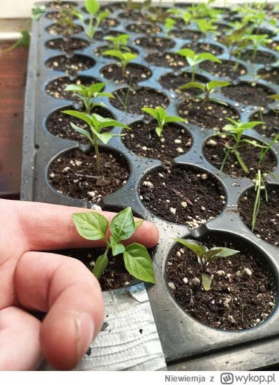 Niewiemja - @gobi12: Niby później zaczynałeś a rozmiarowo prawie jak moje ( ͡º ͜ʖ͡º)