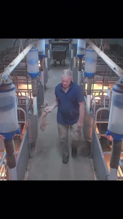 Wloczypsuj - Tak to wygląda...
#psychologia #swiat #teoriespiskowe