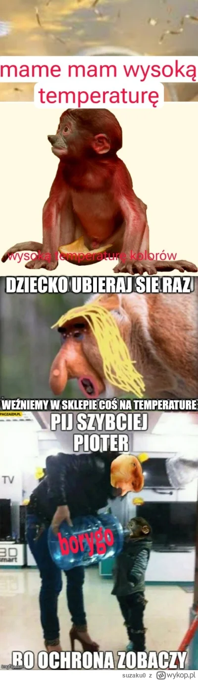 suzaku0 - #konkursnanajbardziejgownianymemznosaczem