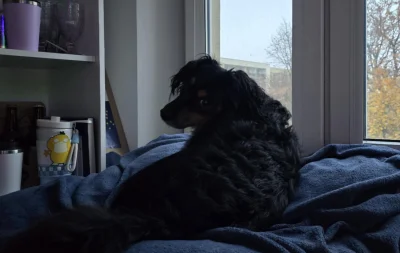 luz_arbuz98 - Eh Rysio już od rana w kołchozie na miejskim monitoringu ᕙ(⇀‸↼‶)ᕗ

On p...