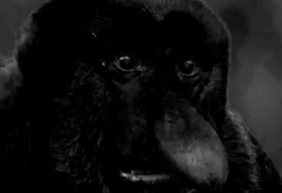 matixrr - Mógł ojciec jak normalny chłop wytrzeć w firankę to nie, zachciało się robi...