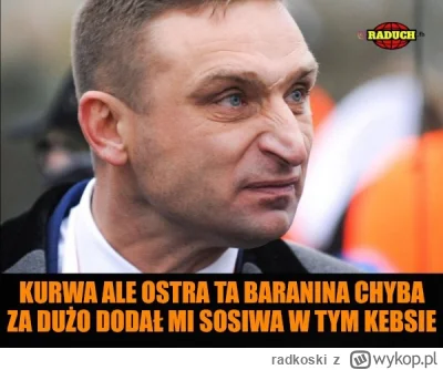 radkoski - #bekazpisu #polityka 😎