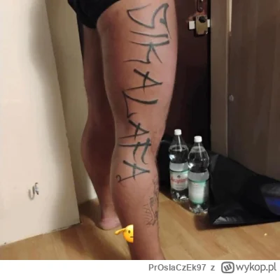 PrOsIaCzEk97 - #rolnikszukazony SIKALAFĄ