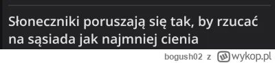 bogush02 - No i dobrze c-----i, niech mu się passat nagrzewa i sam też niech się w sł...