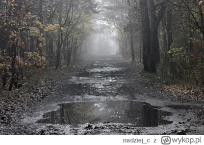 nadziej_c - za ruwne 2 miesiace nastąpi zmiana czasu z letniego na zimowy
nie moge si...