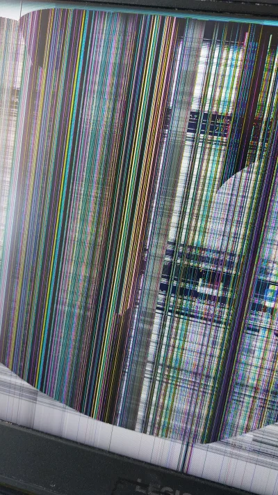 schantelle - @schantelle