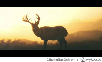 CthulhuNasOchroni - Niedobrze. Od tygodnia męczy mnie potworny kaszel. Dziś na spacer...