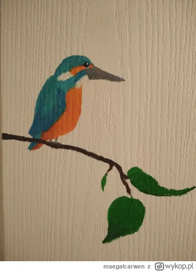 maegalcarwen - Namalowałam zimorodka na drzwiach. Niestety te drzwi od wewnątrz nie m...
