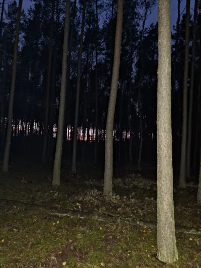 Gontyn- - #przegryw #spierdotrip